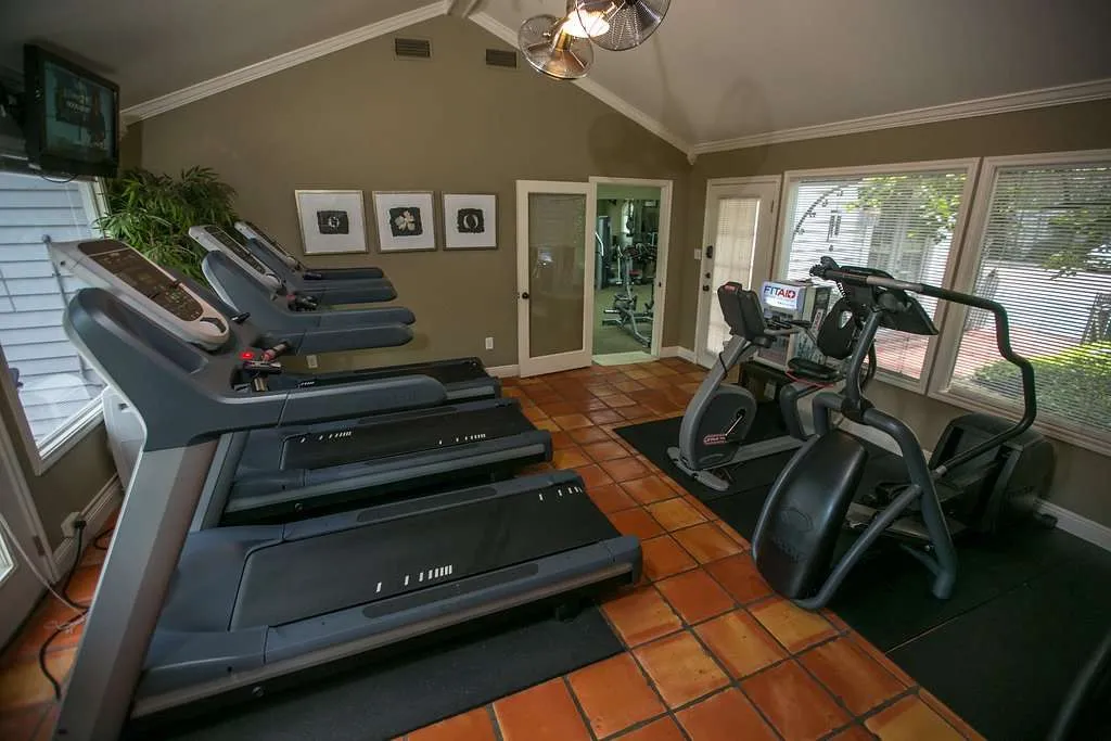 Treadmills and elliptical machines in gym space