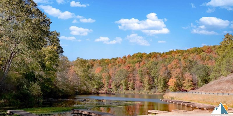  A peaceful lake framed by vibrant autumn foliage under a bright blue sky, offering a tranquil retreat surrounded by nature.