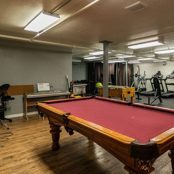 Recreation room with pool table and fitness equipment