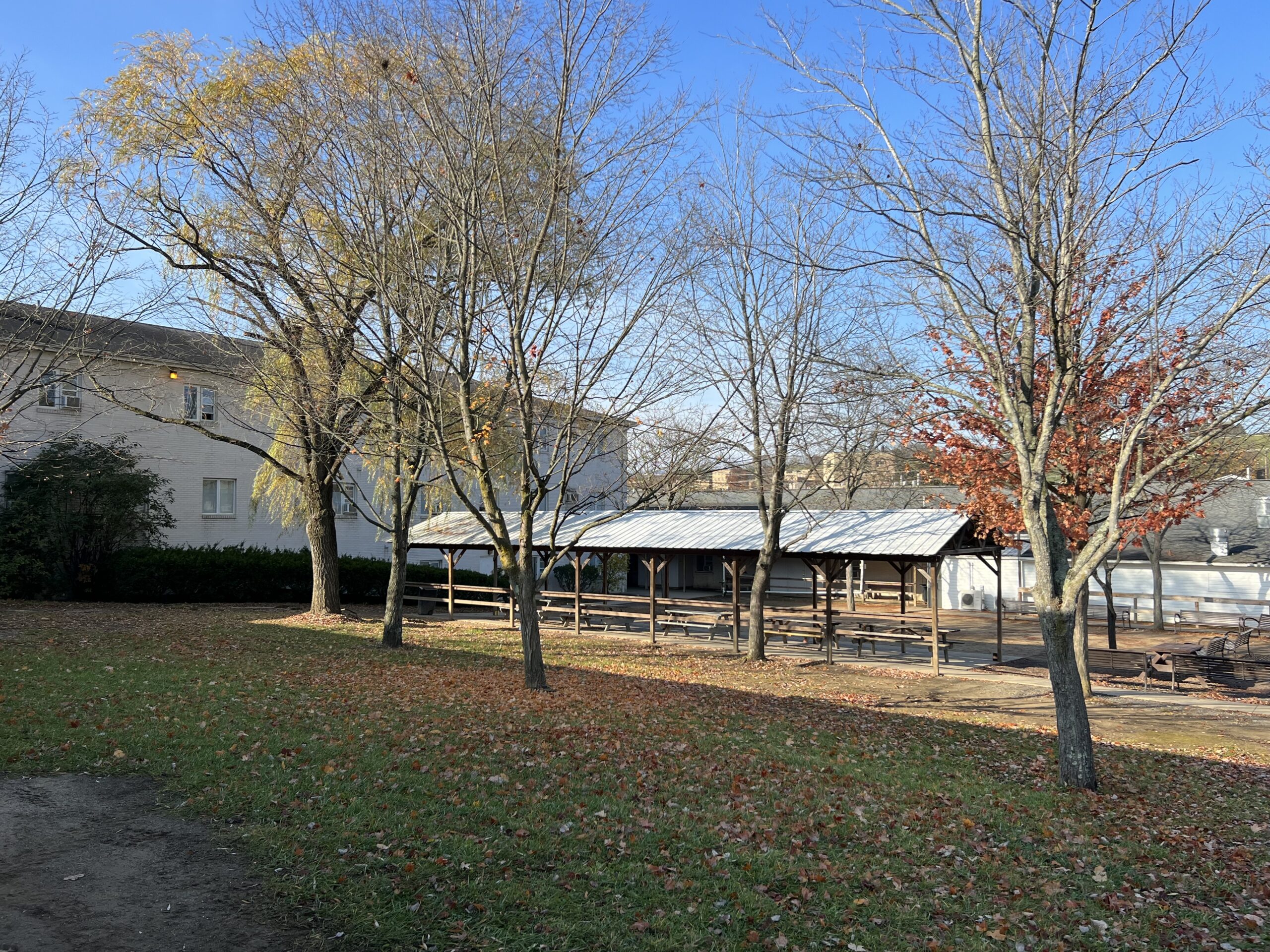 Covered outdoor seating area under leafless trees