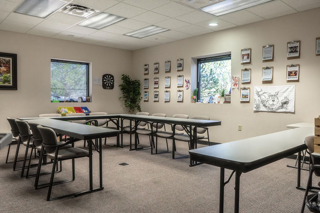 Embark Recovery Prescott 7