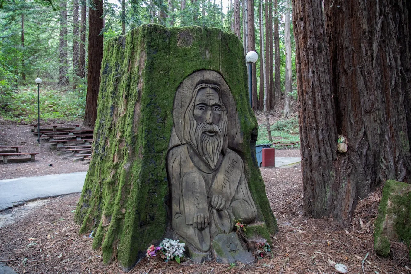 Carved tree stump sculpture among redwood trees