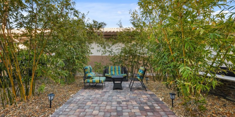 A tranquil patio area surrounded by lush bamboo, featuring comfortable seating with vibrant cushions, ideal for relaxing outdoors.