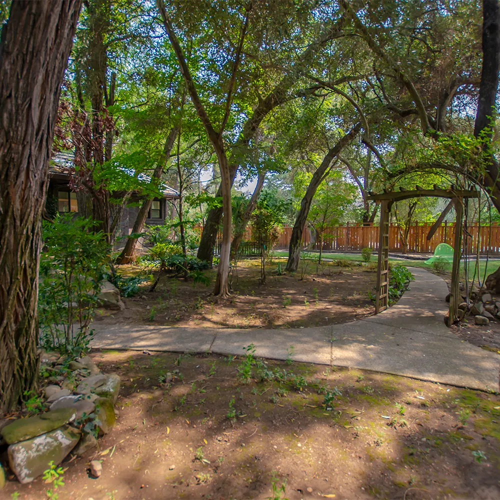Shaded garden walkway with trees and wooden arch