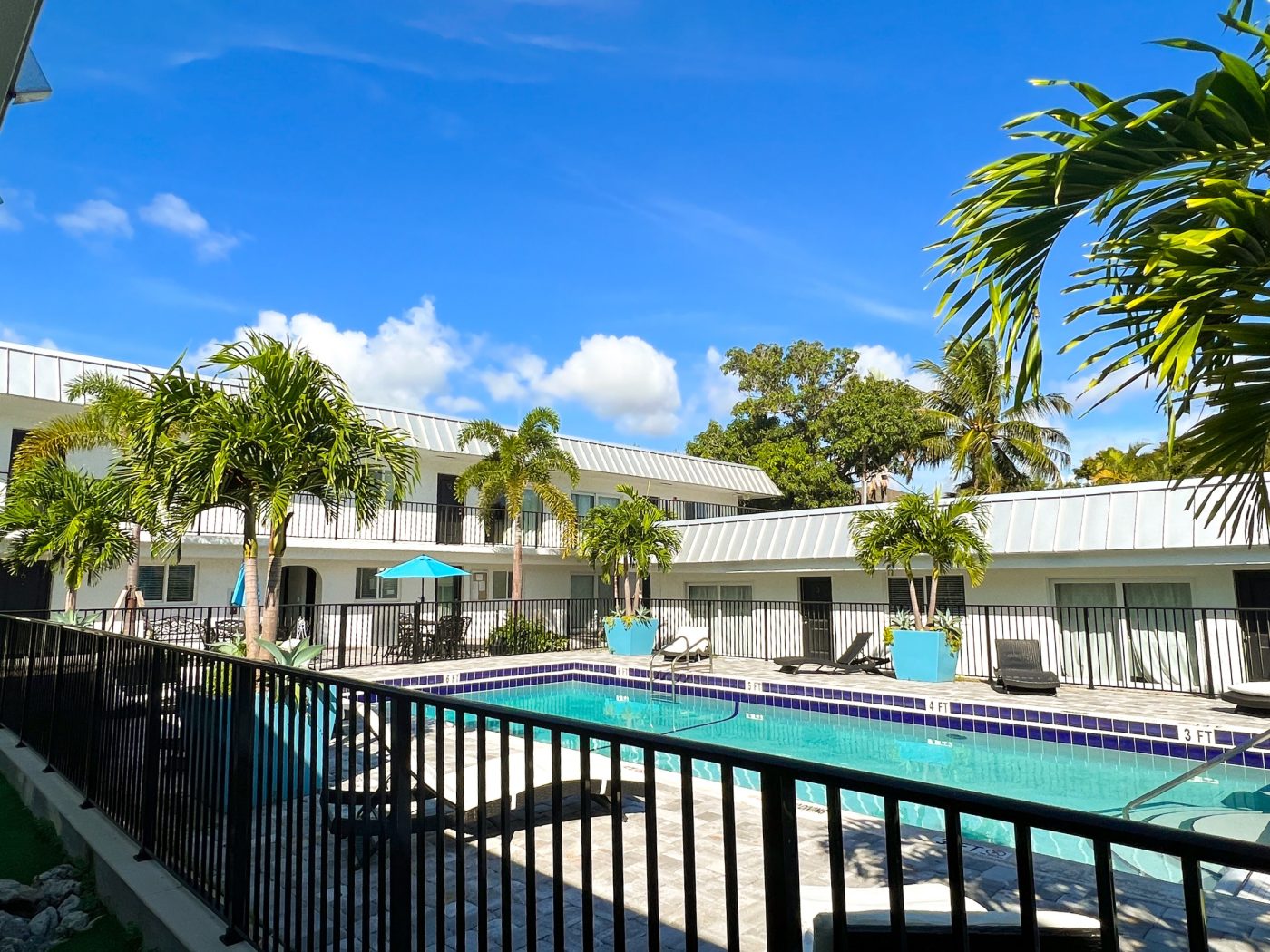Swimming pool surrounded by palm trees and residential treatment buildings