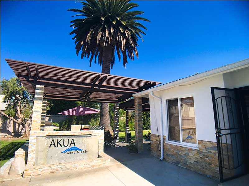 Outdoor entrance with pergola and palm tree
