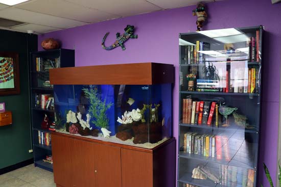 Therapeutic Health Services Summit Branch Seattle Photo3