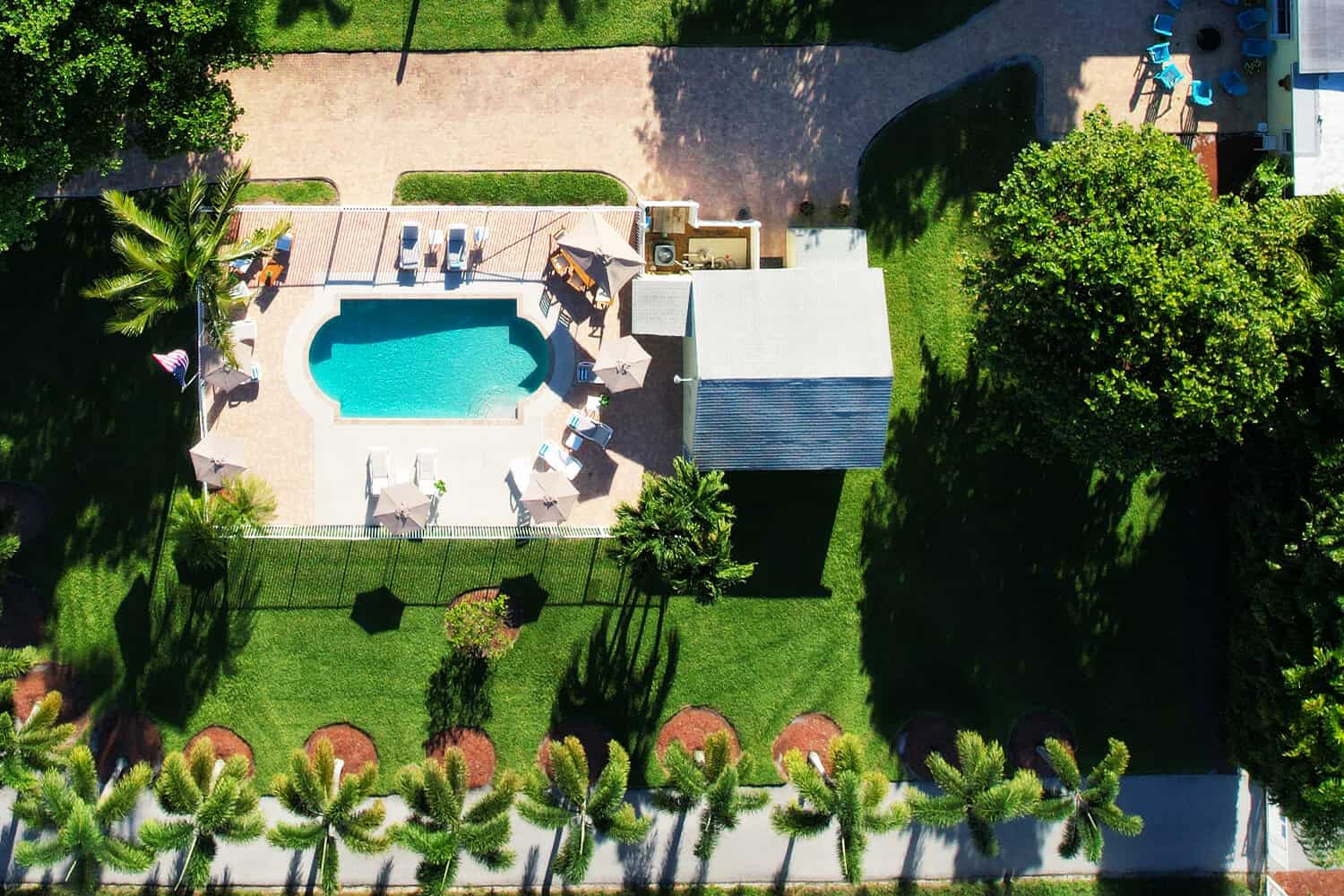 Aerial view of pool with lounge chairs and greenery