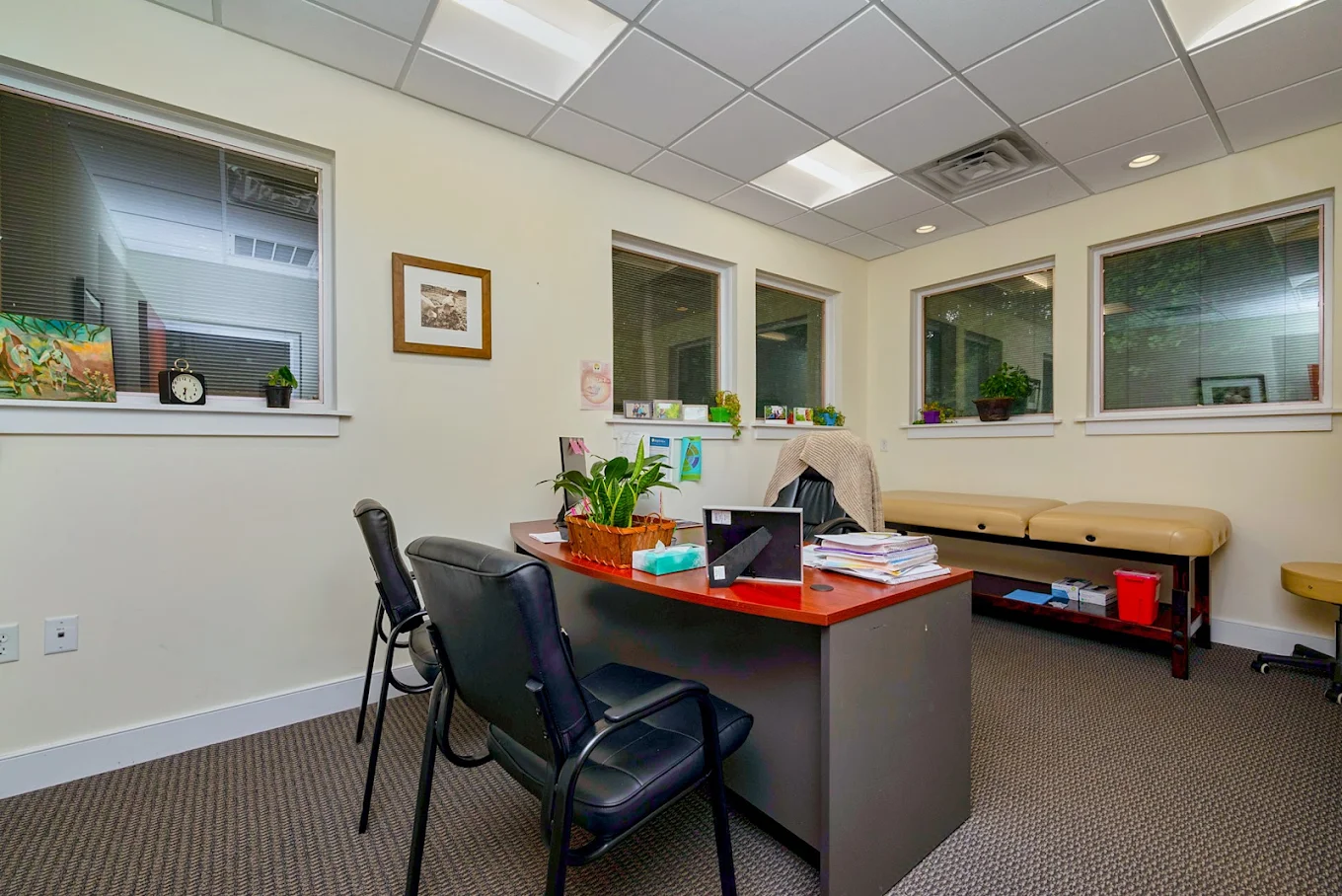 Consultation room with desk, chairs, plants, and exam tables