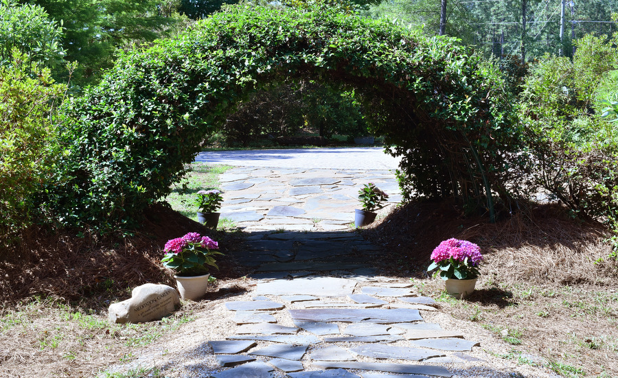 Landscaped garden with stone path and flowering plants