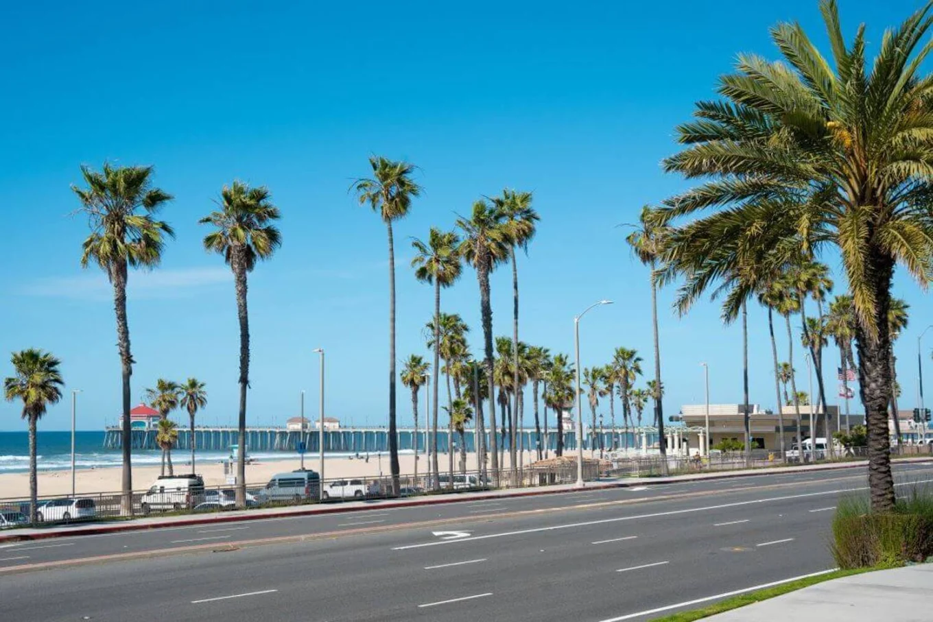 Palm trees along beach road near Huntington Beach pier