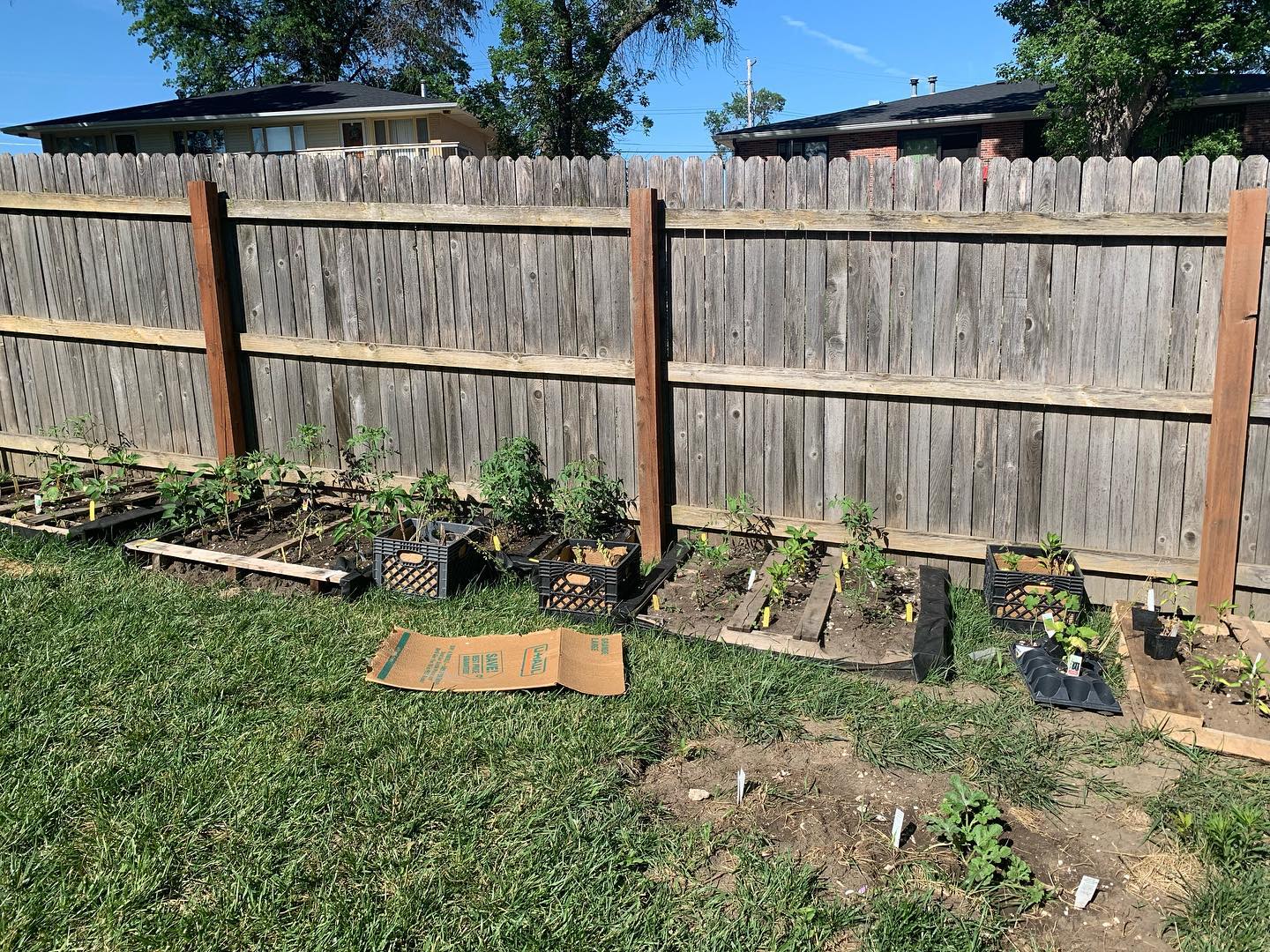 Small outdoor garden with plants growing along wooden fence