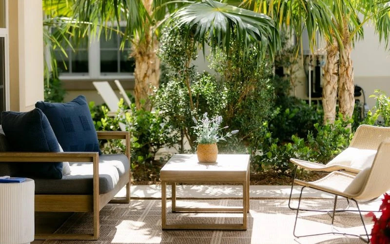 Outdoor patio with sofa and chairs among palm trees.