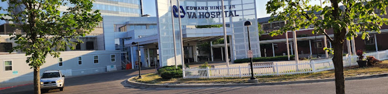 Vet Affairs/Edward Hines Jr Hospital - Chief Substance Abuse Section