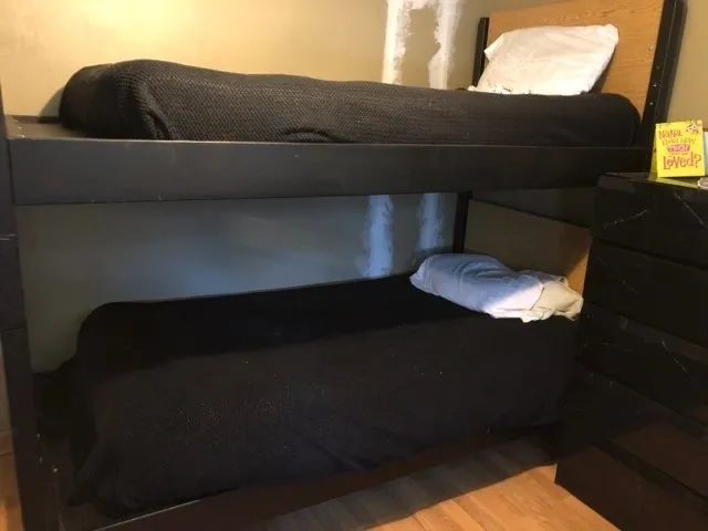 Rose Of Sharon 7 Divine Intervention Recovery Ranch San Jacinto3