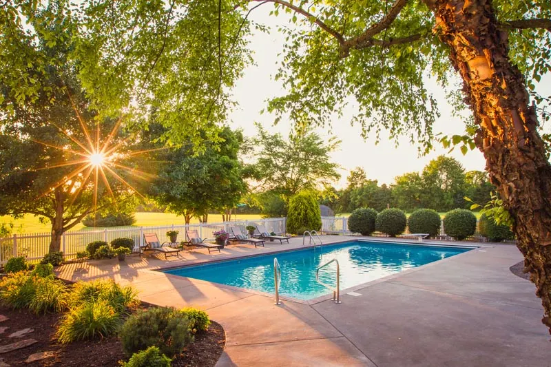 Outdoor swimming pool surrounded by lounge chairs, trees, and landscaping at sunset
