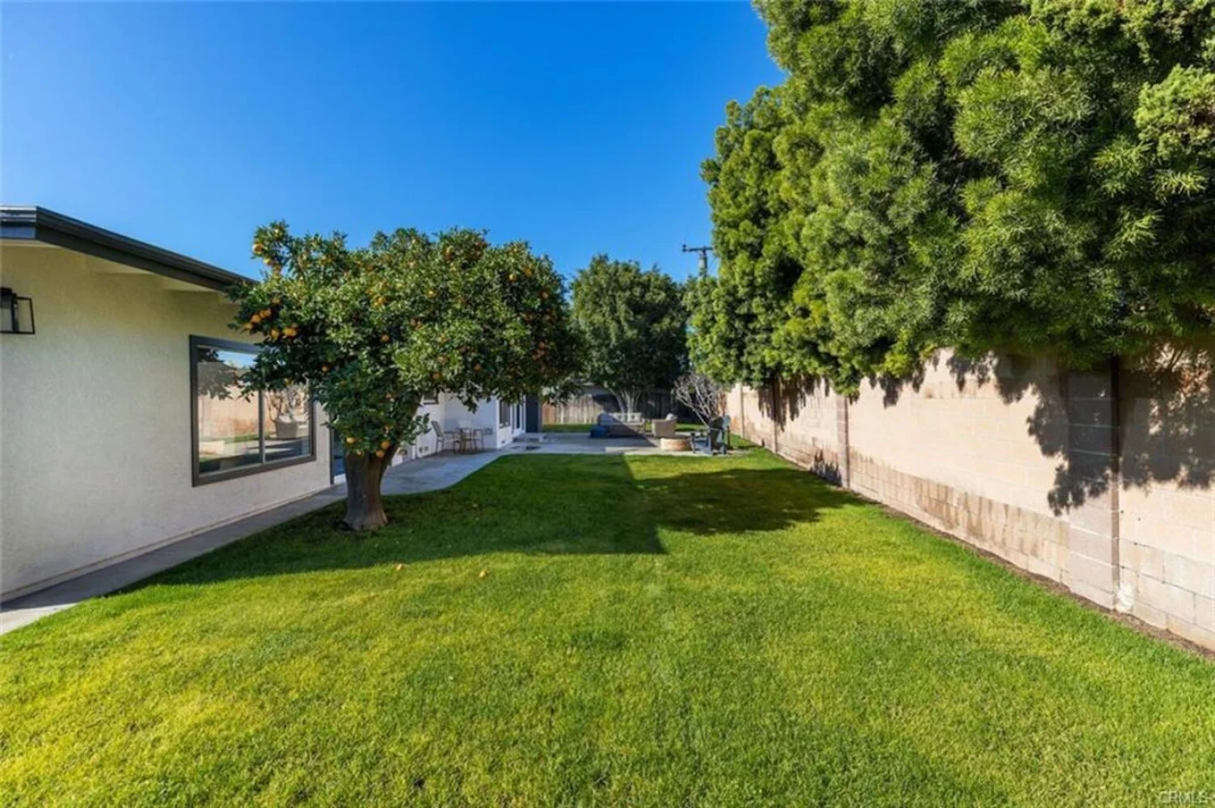Lush green backyard with trees and open space