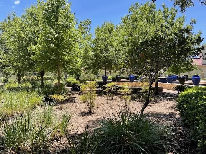 Healing garden with trees and planters