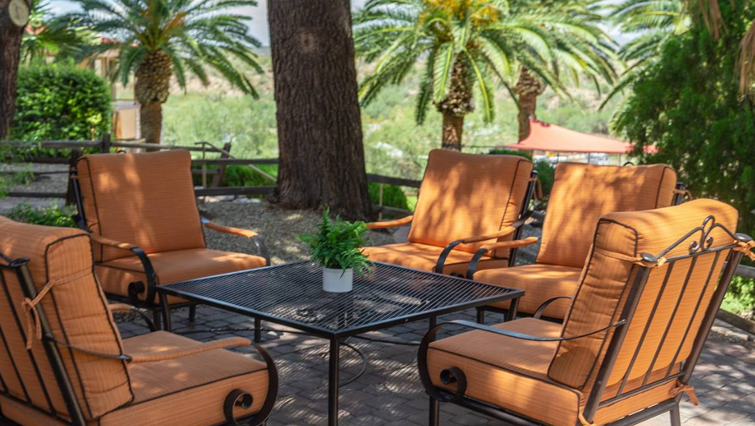 Patio seating with cushioned chairs under trees