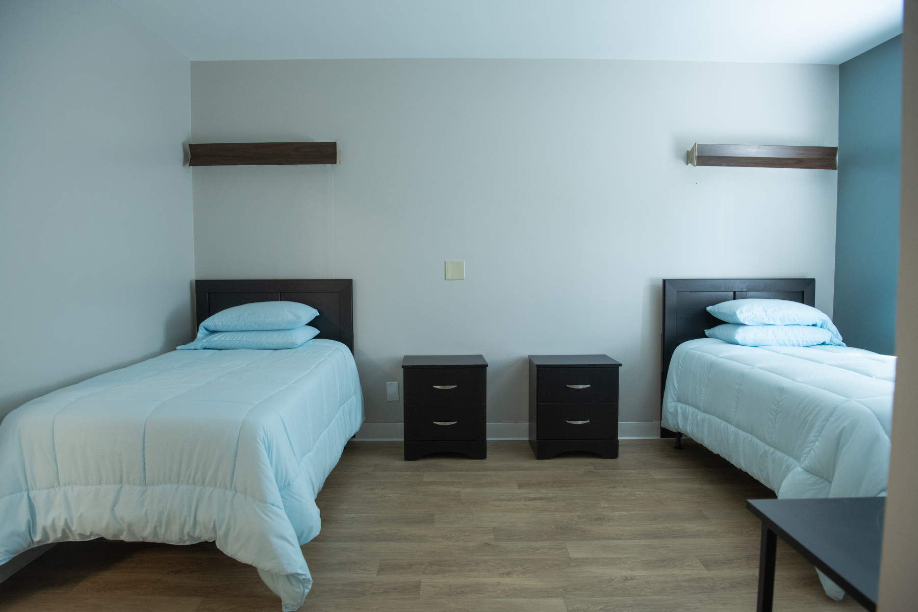 Silver Maple Recovery Lorain 2