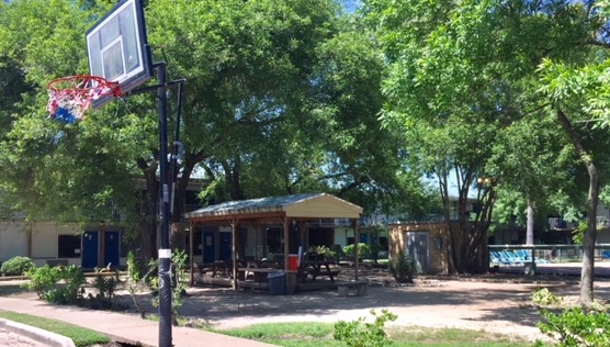 Basketball hoop and shaded seating in outdoor yard