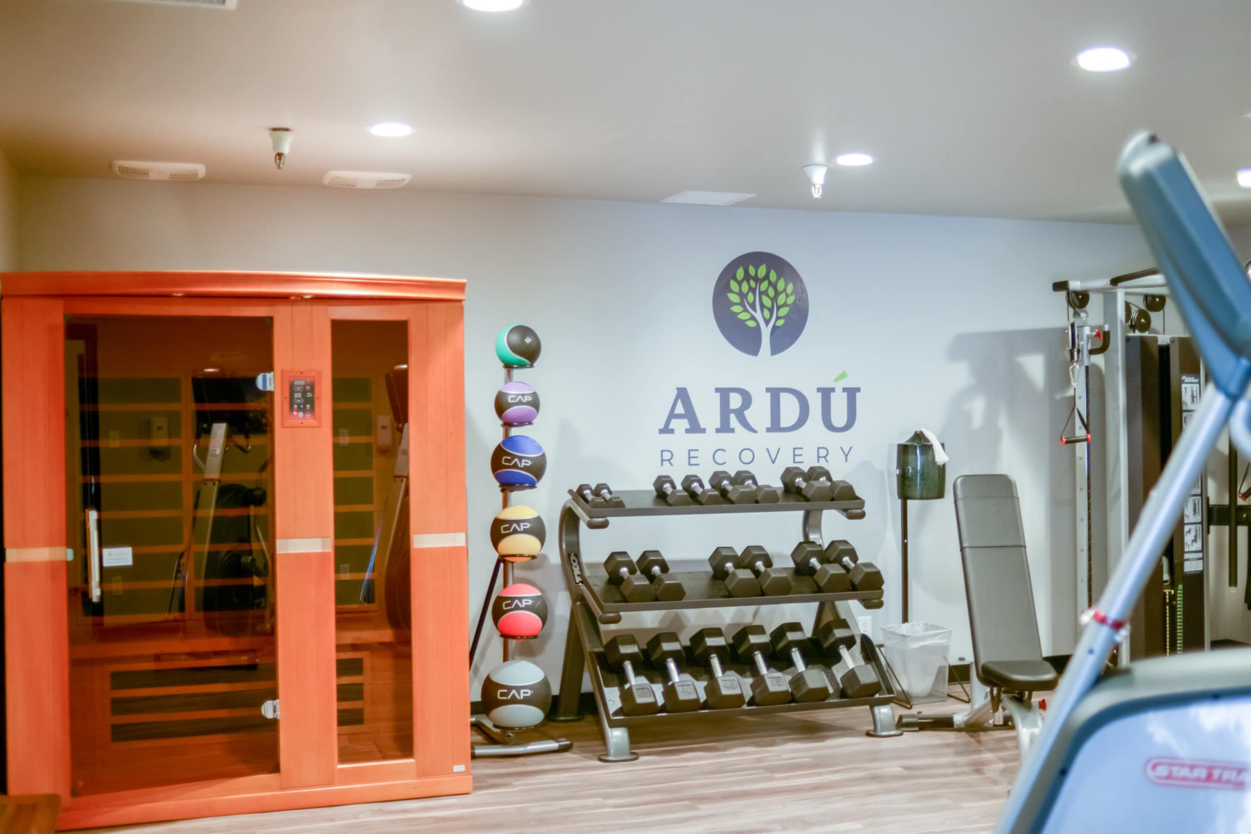 Dumbbell rack and wooden sauna in modern gym space