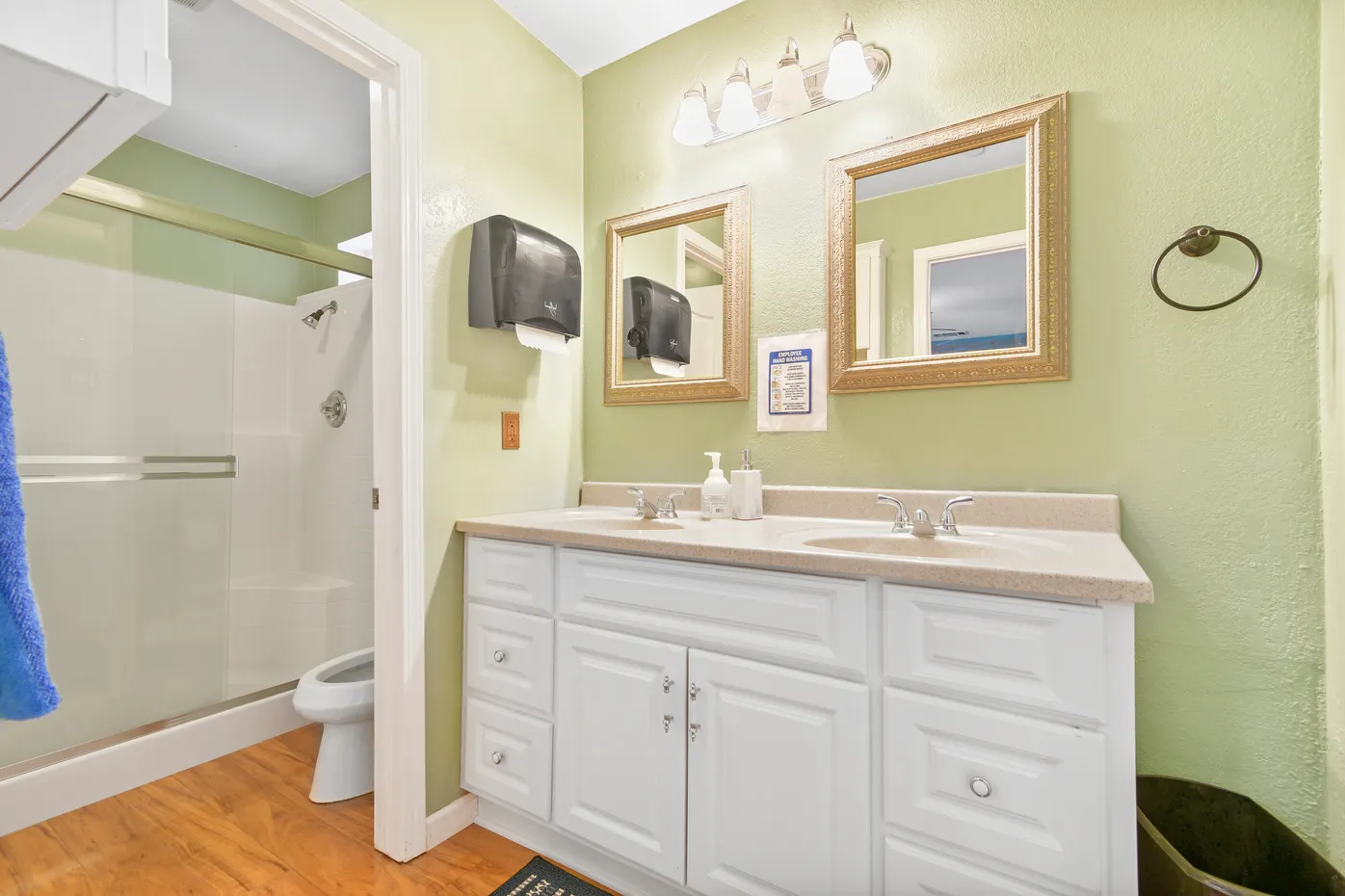 Double sink and shower in green-painted bathroom