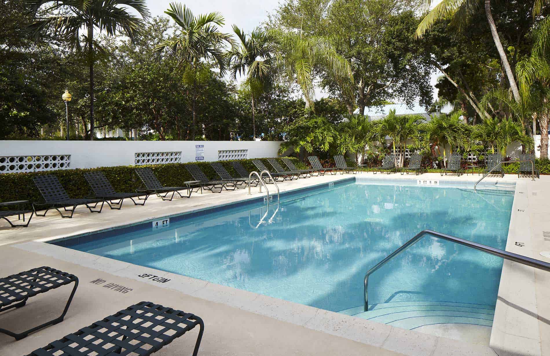 Pool surrounded by lounge chairs and palm trees