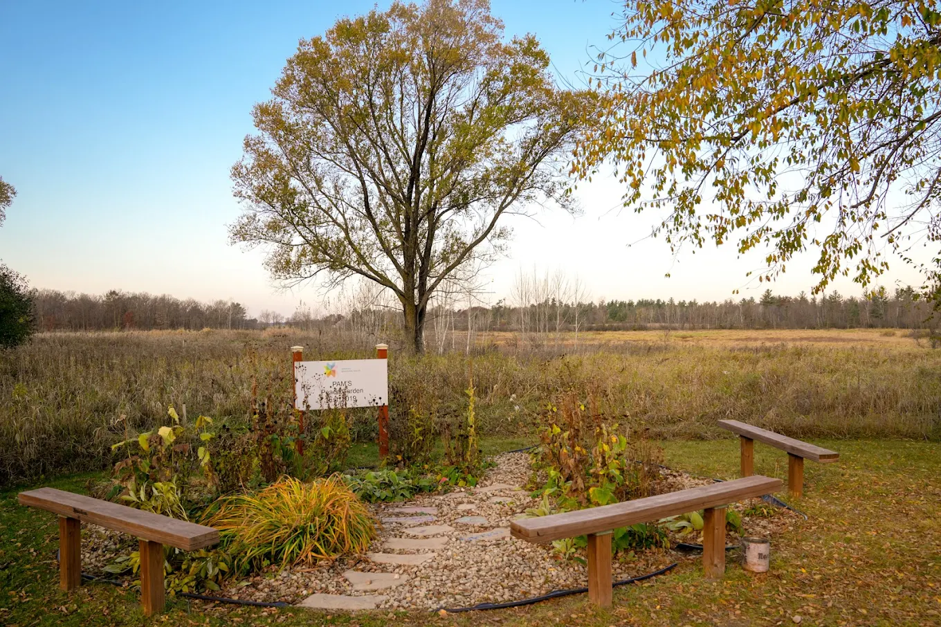 Garden courtyard with benches and walking path