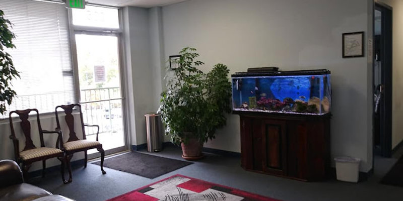 A cozy waiting room with an aquarium, large plant, leather couch, and chairs. Natural light streams through the window and door.