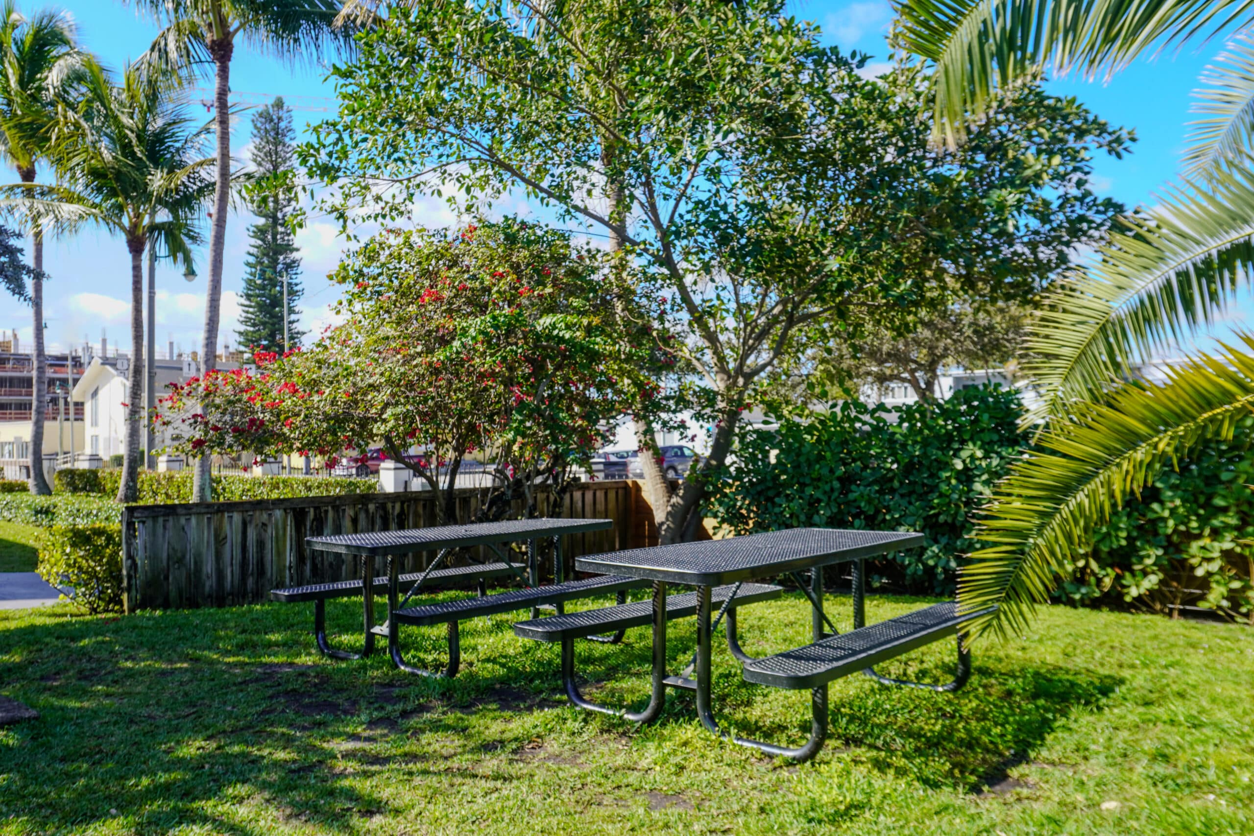 Courtyard with picnic tables and lush tropical trees