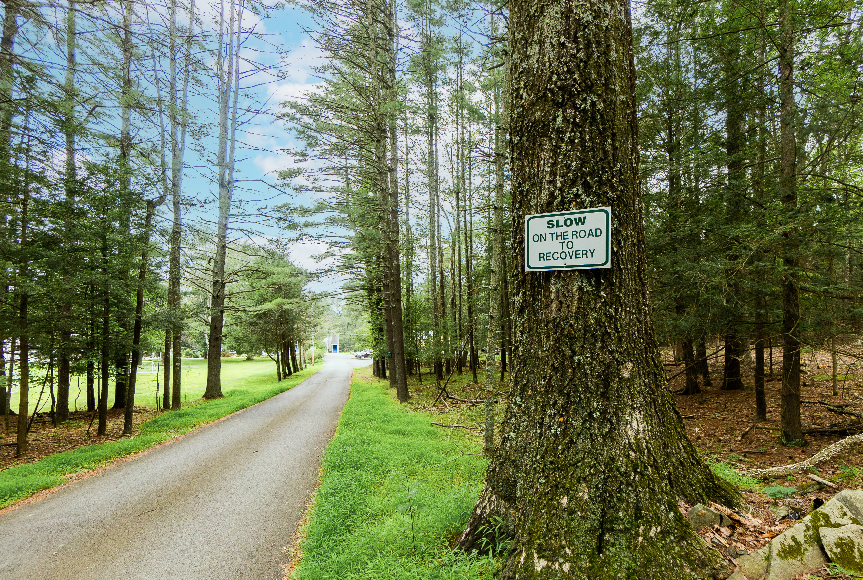 Forest road with a sign reading “Slow on the road to recovery”.
