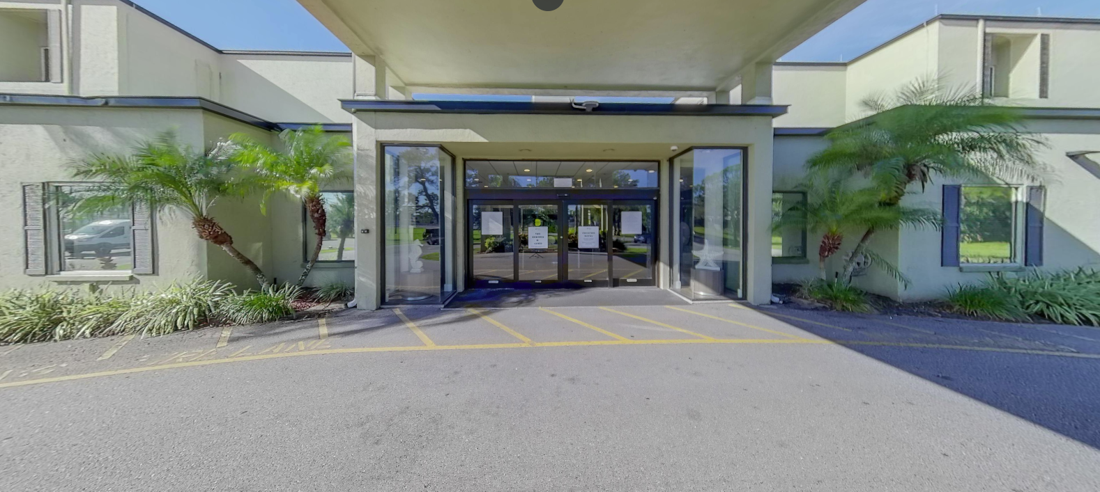 Main entrance with palm trees at Windmoor Healthcare