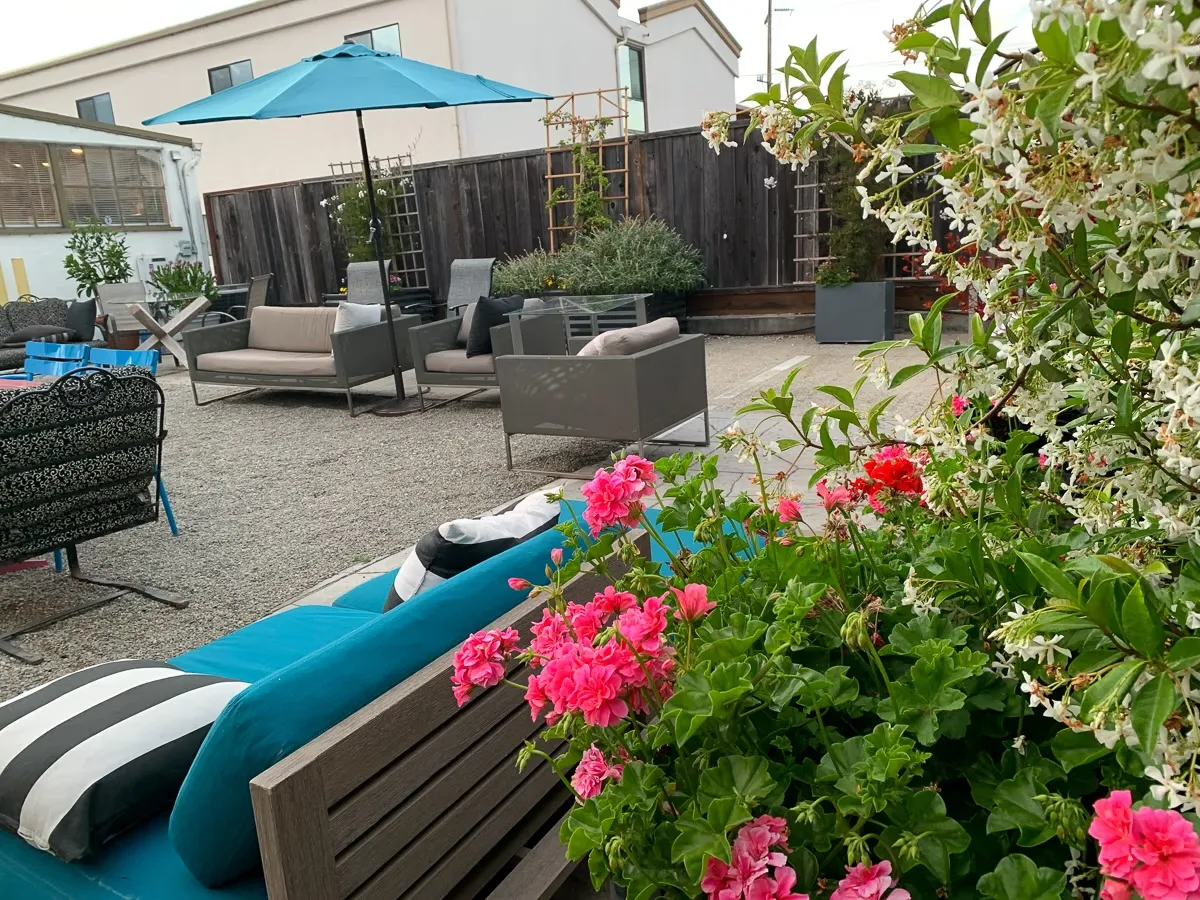 Landscaped patio with lounge seating, umbrellas, and flowers