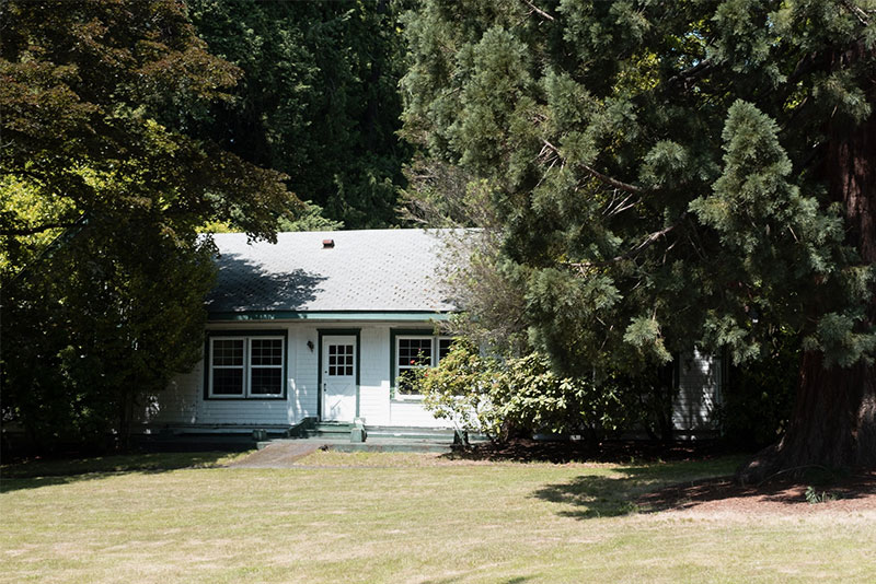 Residential cottage surrounded by mature trees and lawn