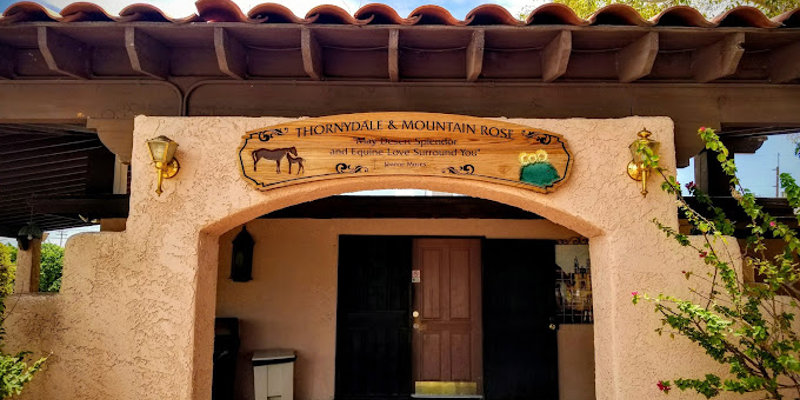 La Frontera Center Mountain Rose Tucson3