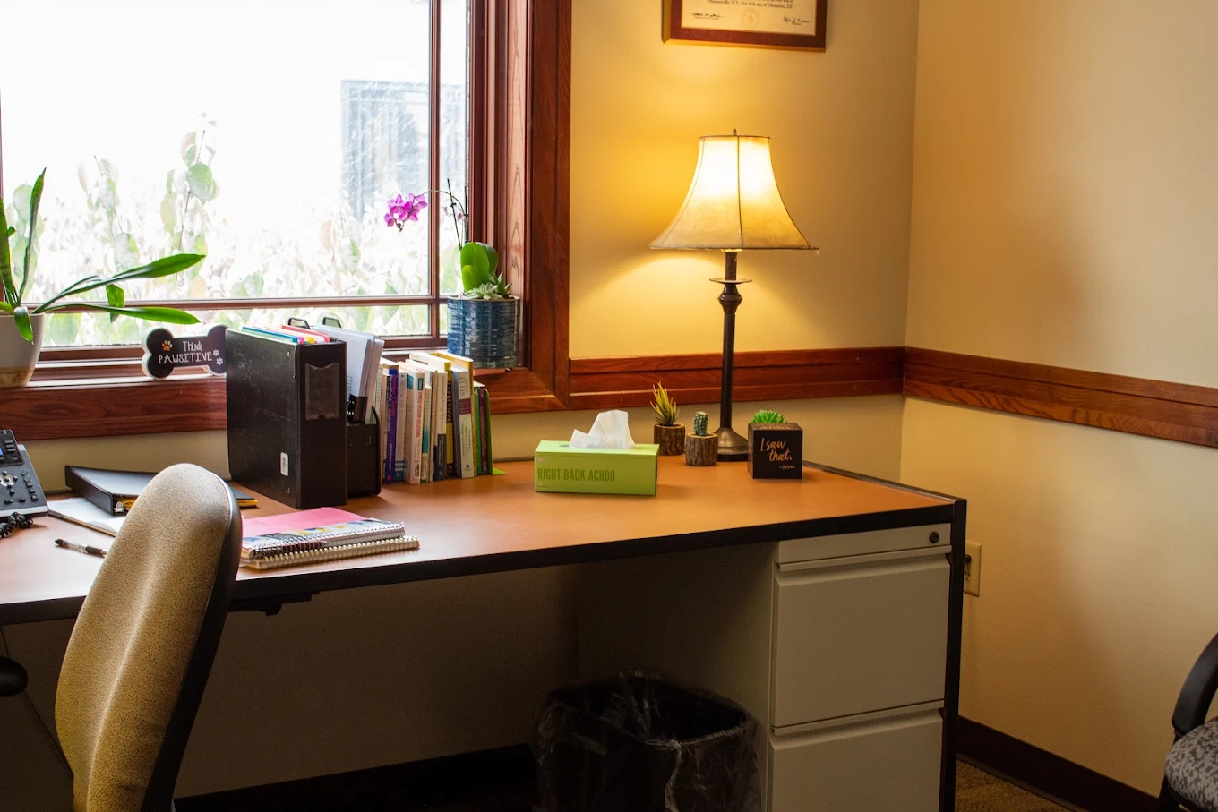 Counseling office with desk, chair, books, and plants