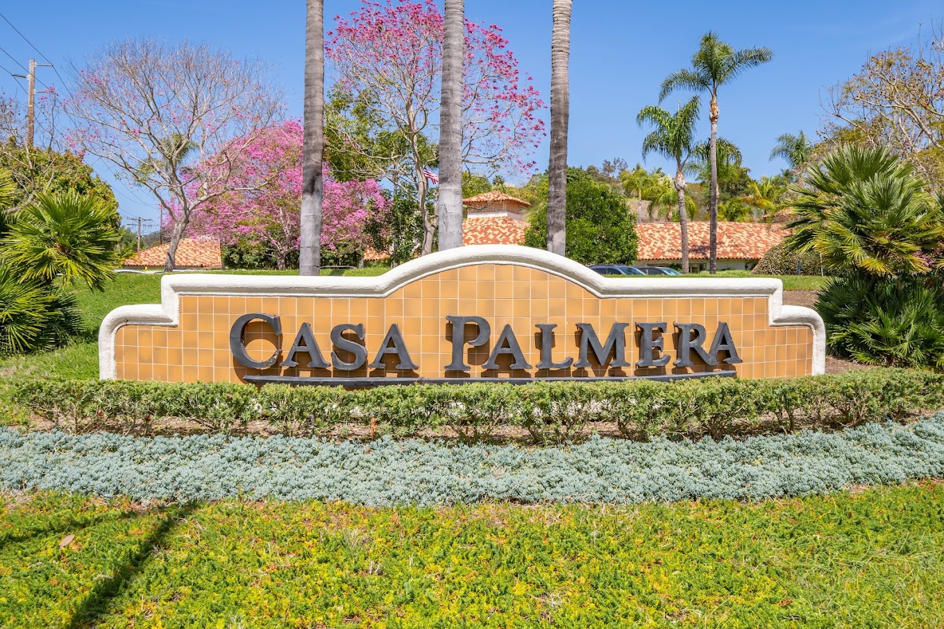 Casa Palmera Del Mar Photo2