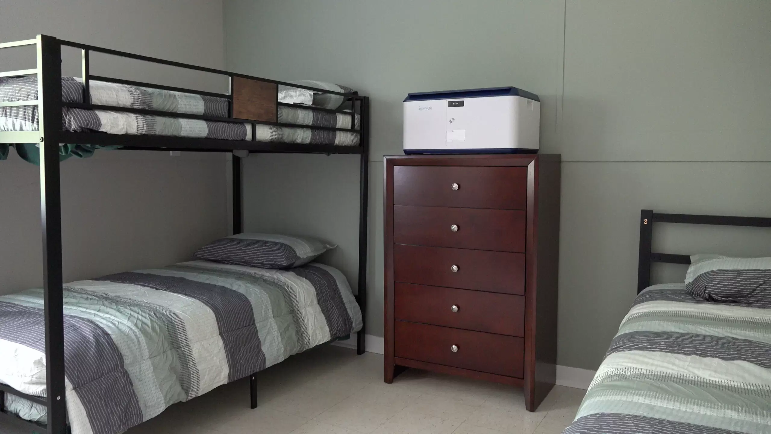 Room with bunk bed, twin bed, and wood drawer dresser