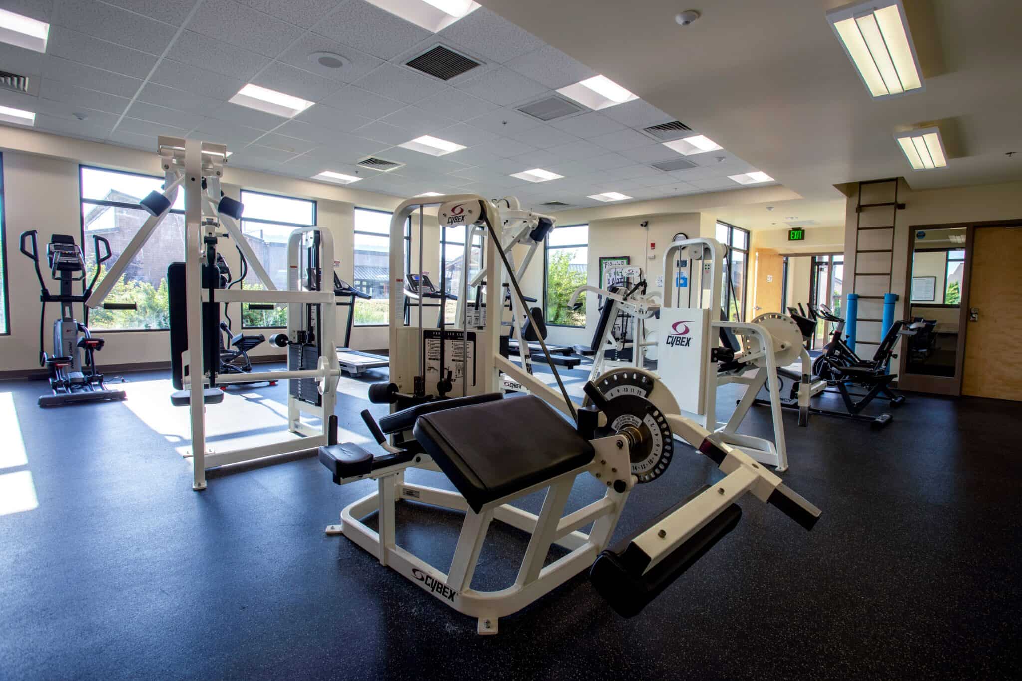 Modern rehab gym with exercise machines and bright windows