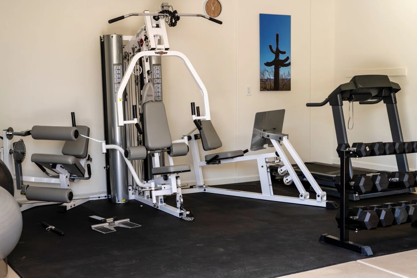 Fitness room with weight machine, treadmill, and dumbbells