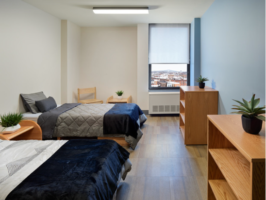Two beds with plants and window view of the city