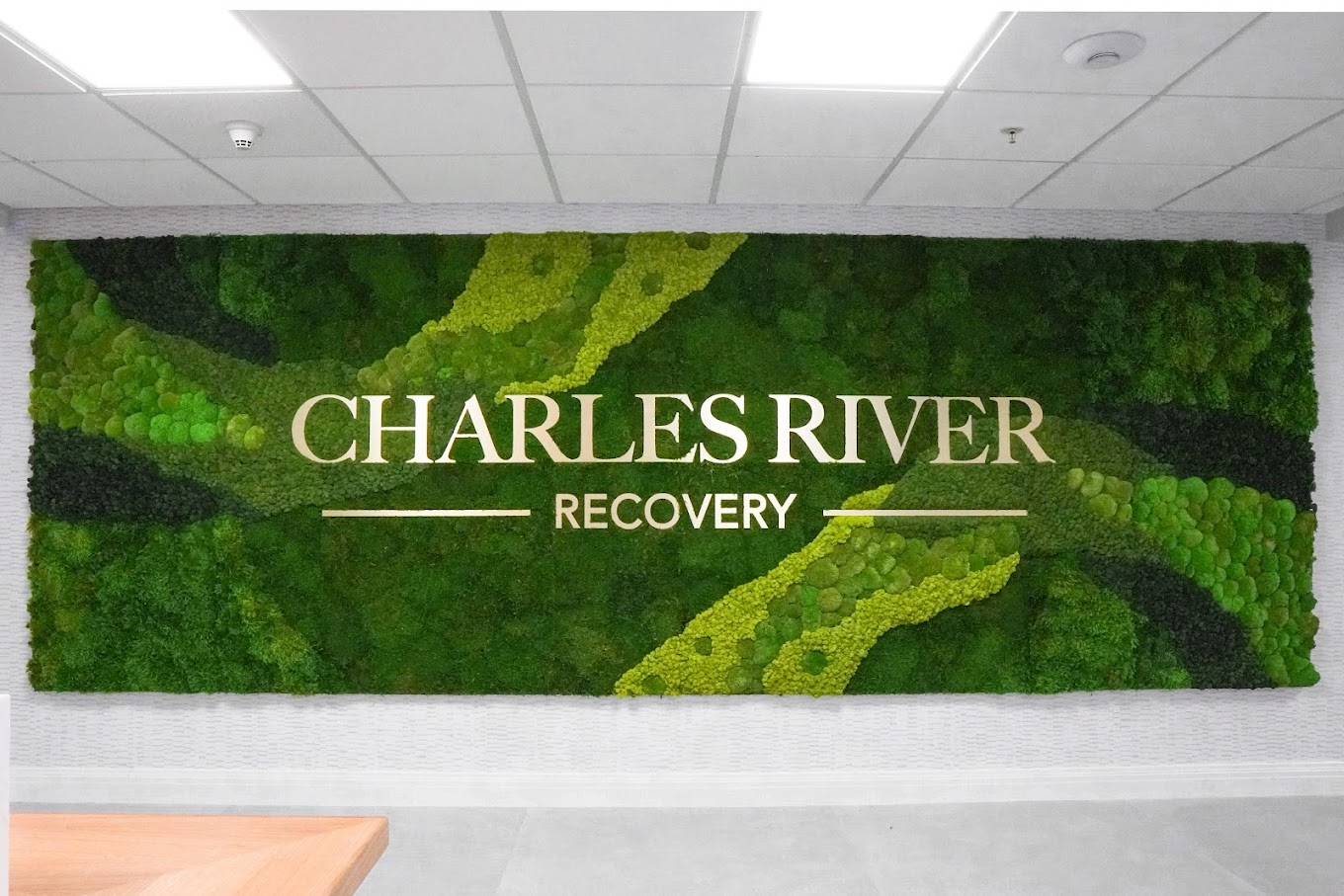 Green wall with signage "Charles River Recovery".