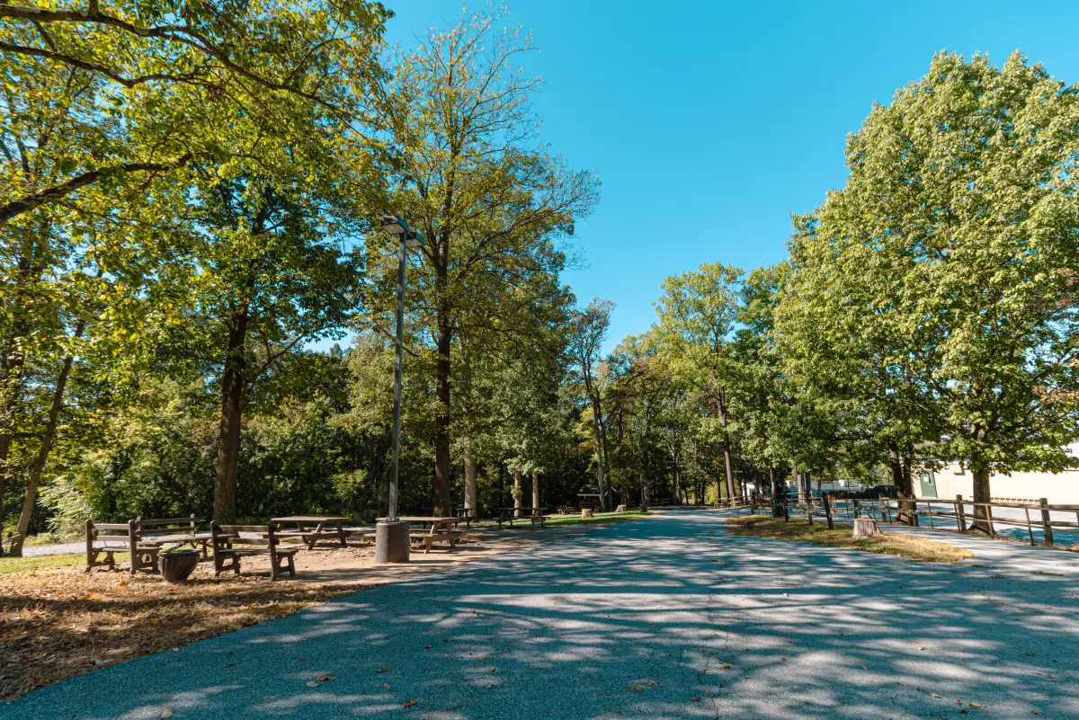 Outdoor path with trees and picnic benches