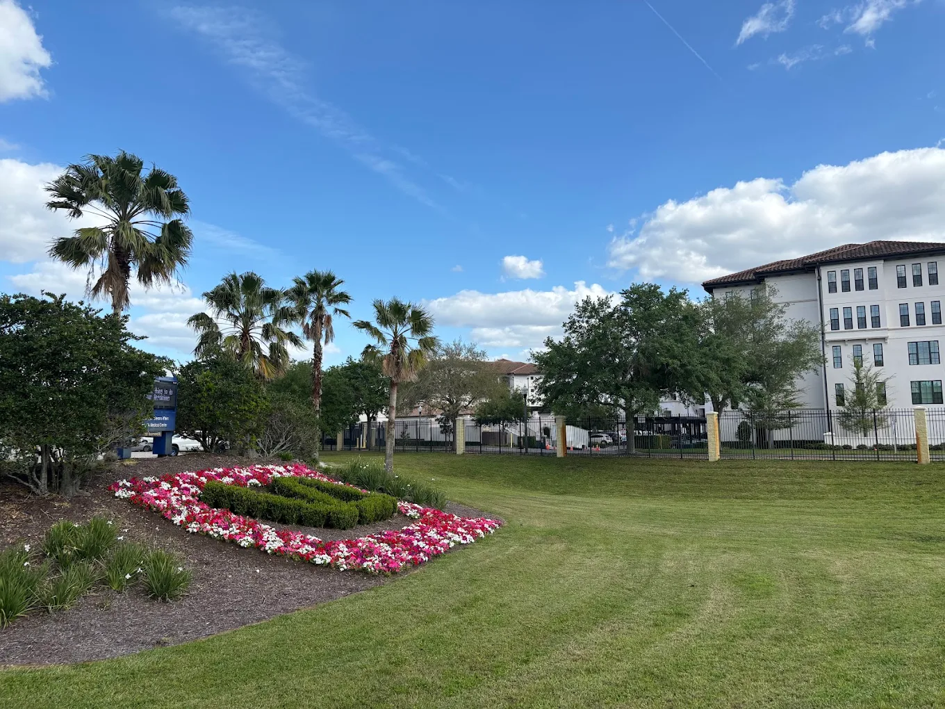 Lawn with palm trees and flowers beside a white building