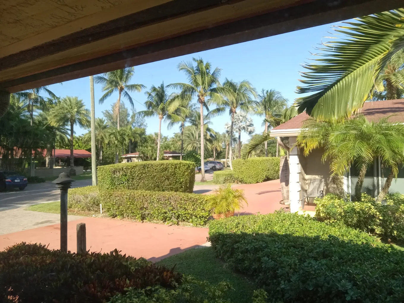 Palm-lined residential campus with walkways and tropical landscaping.