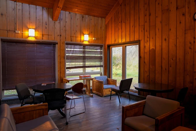 Cozy lounge with wood walls, chairs, and natural light