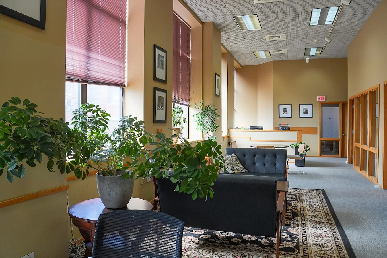     Lounge with plants, couches, and tall windows