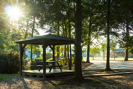 Brick patio with shaded gazebo and picnic tables
