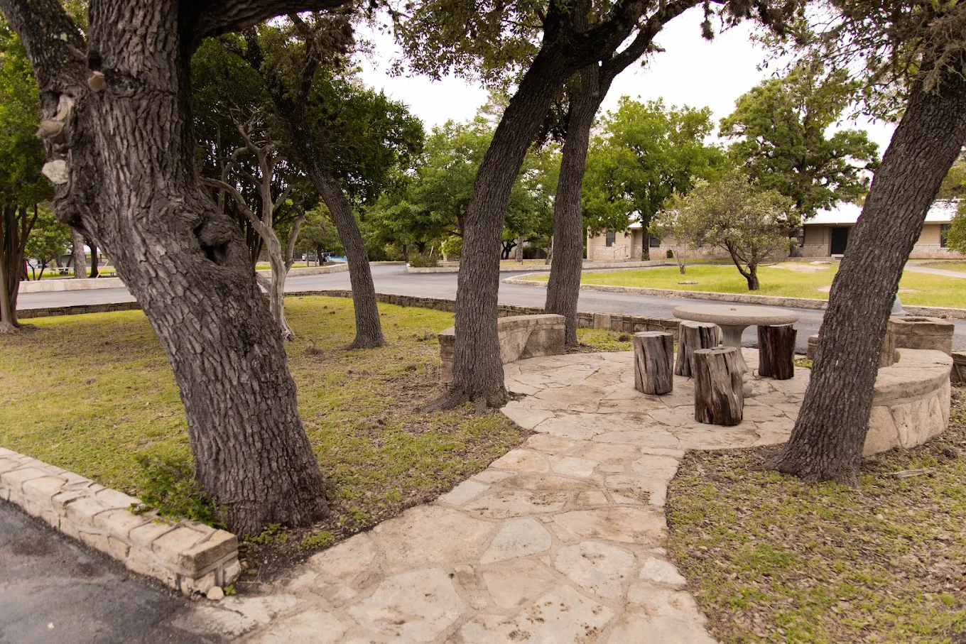Shaded stone table with tree-stump stools among mature trees